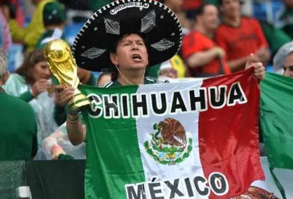墨西哥足协被国际足协否决